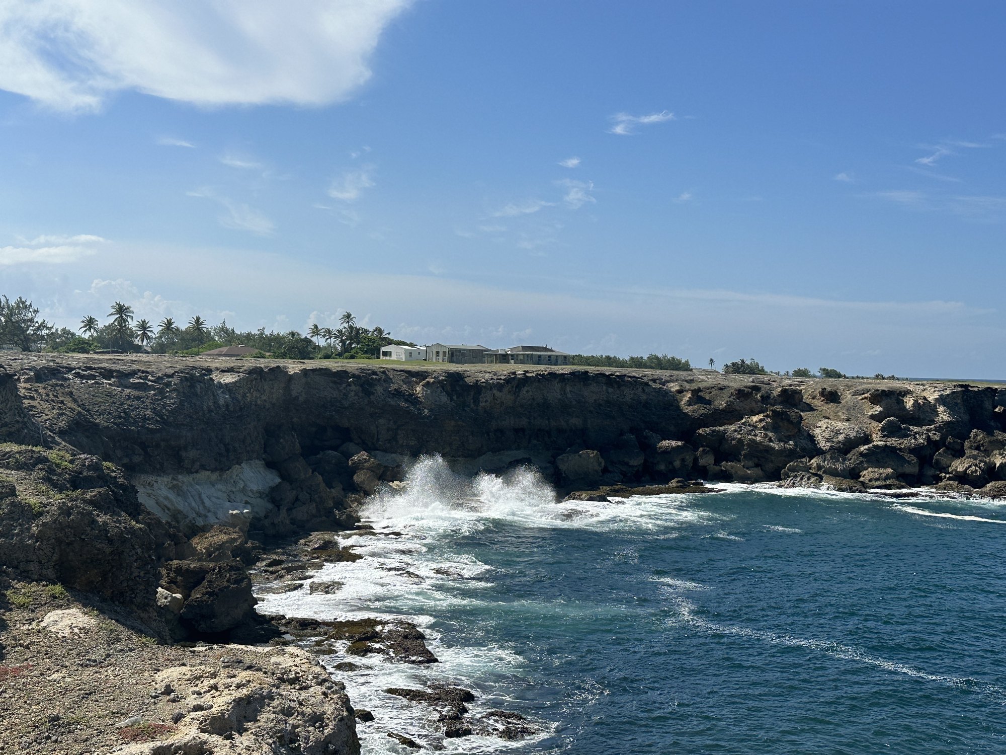Waves breaking against a rocky stretch of the Barbados coastline, palms along the cliff top